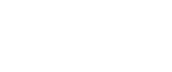 Fustar Steerable Introducer