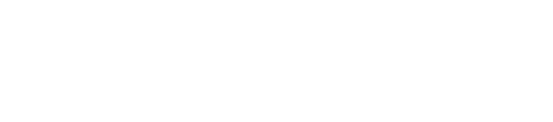 SteerEase Introducer