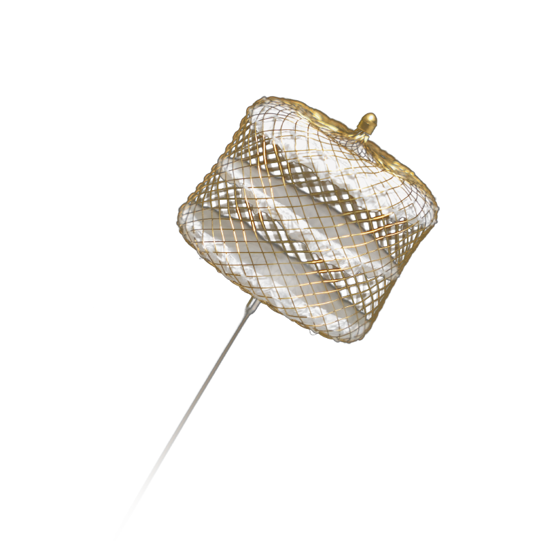 Peripheral Vascular Solutions