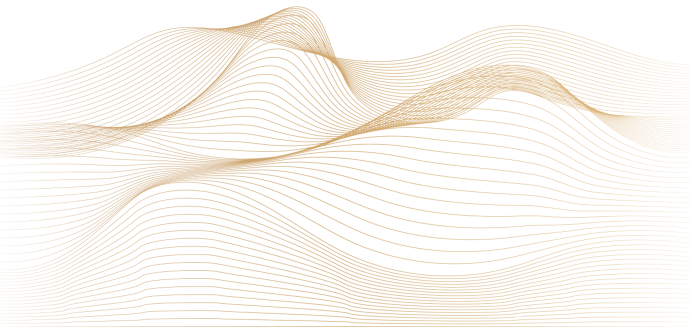 7.png
