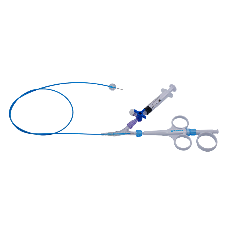 Peripheral Vascular Solutions