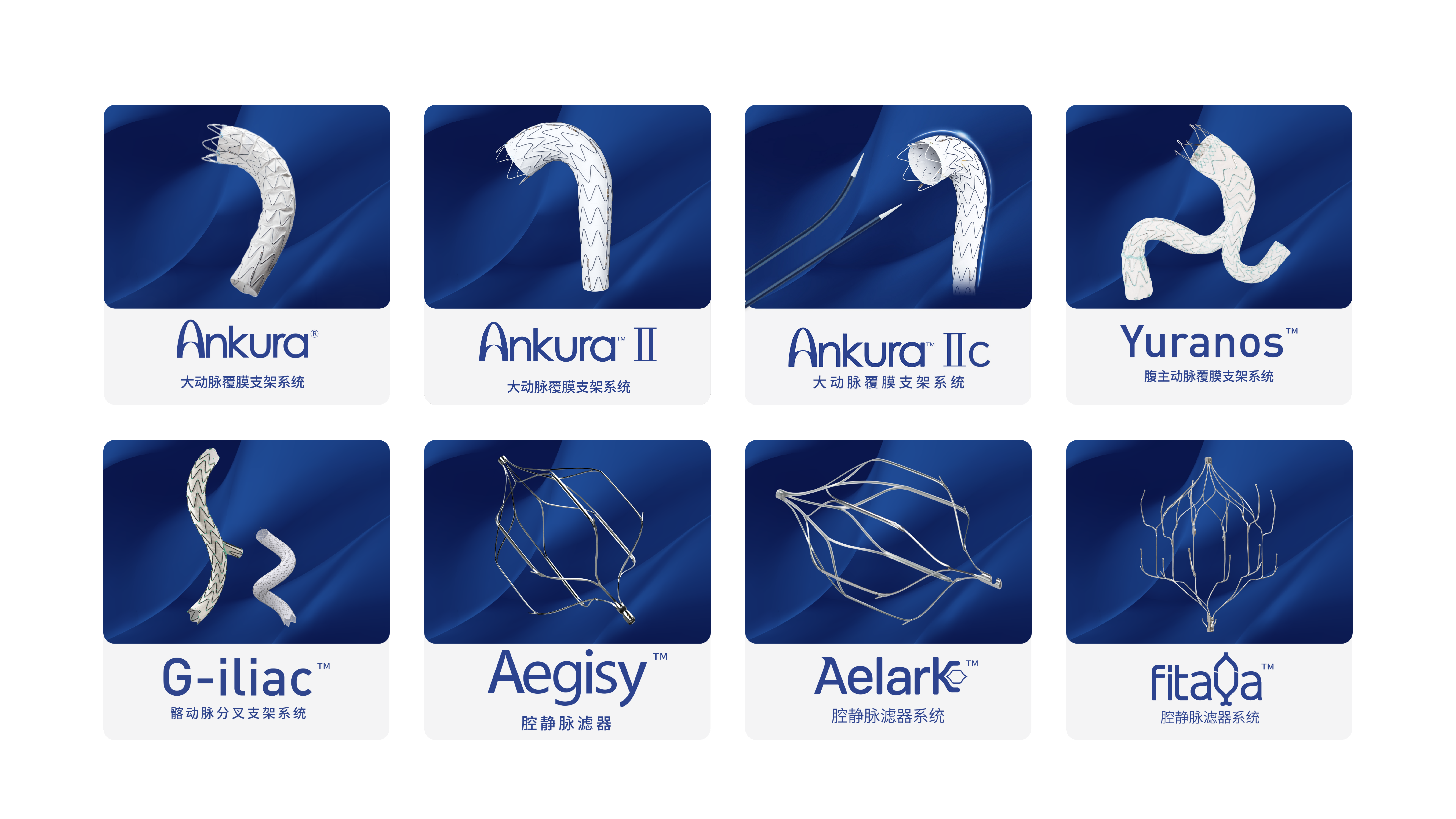 ʾĸ1_02(1).png
